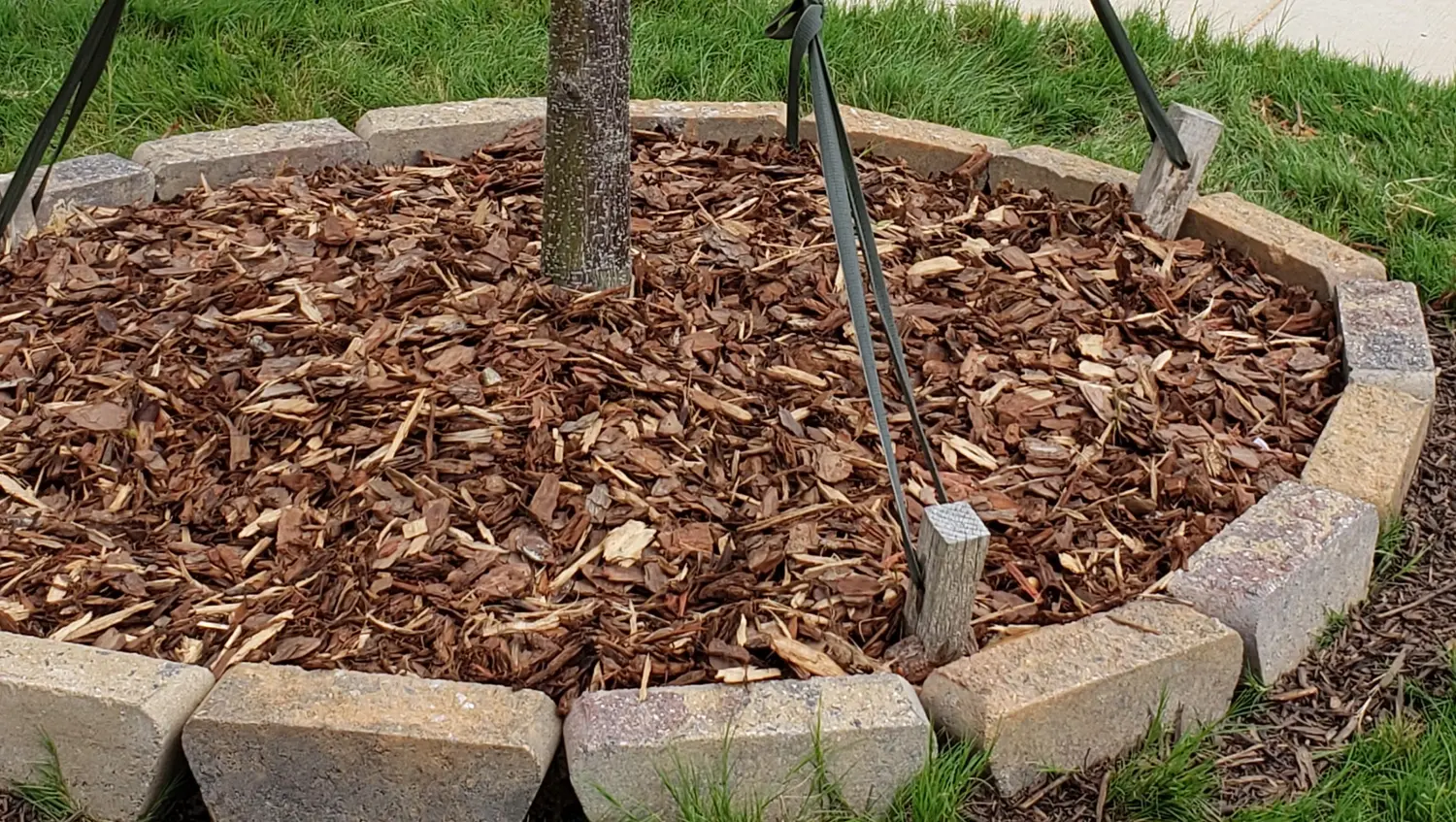 Mulch Installation & Delivery by AllRound Landscaping in Charlotte, NC