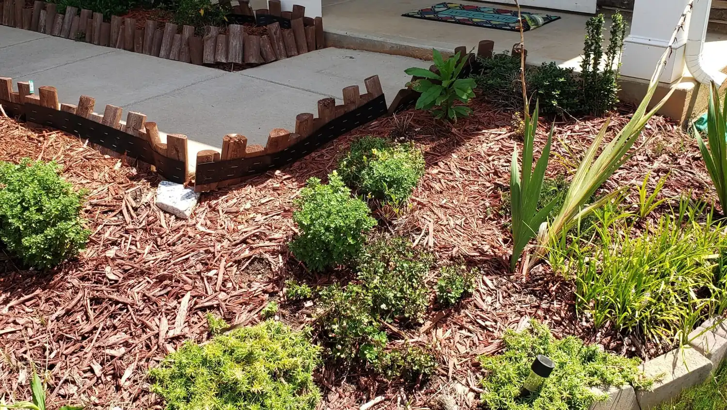 Plantscape Design & Installation by AllRound Landscaping in Charlotte, NC